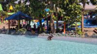 IMG-20260606-WA0086
