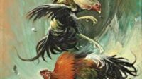 images (1)